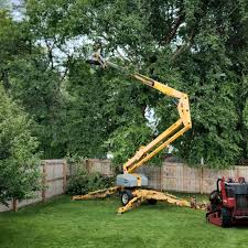 Artificial Turf Installation in Sauk City, WI